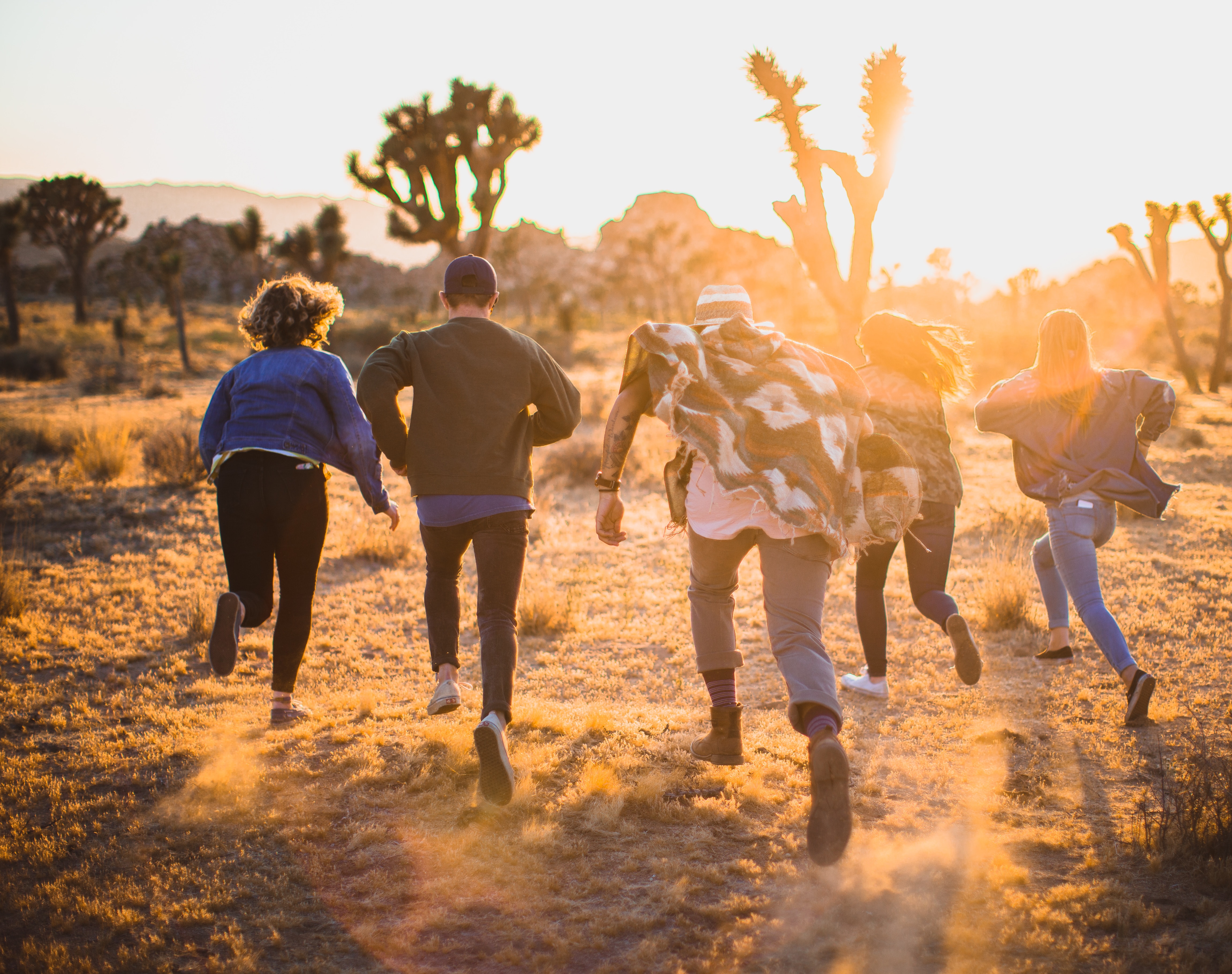 Four young adults running away from the camera through the desert, towards cacti and large rocks